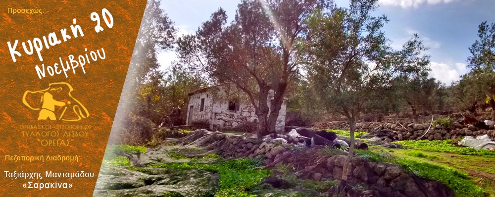 Ορειβατικός Πεζοπορικός Σύλλογος Λέσβου "ΟΡΕΙΑΣ"