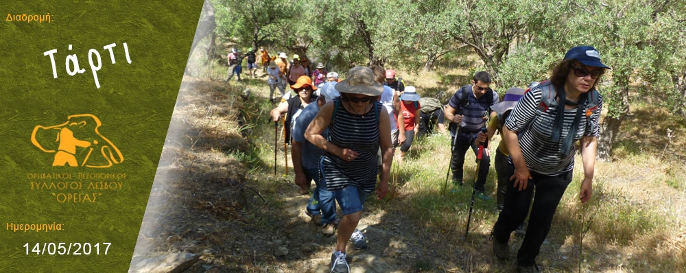 Ορειβατικός Πεζοπορικός Σύλλογος Λέσβου "ΟΡΕΙΑΣ"