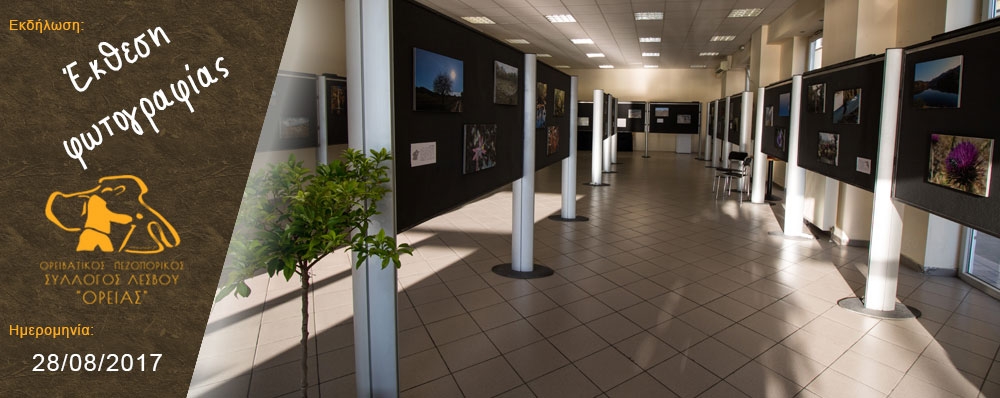Ορειβατικός Πεζοπορικός Σύλλογος Λέσβου "ΟΡΕΙΑΣ"