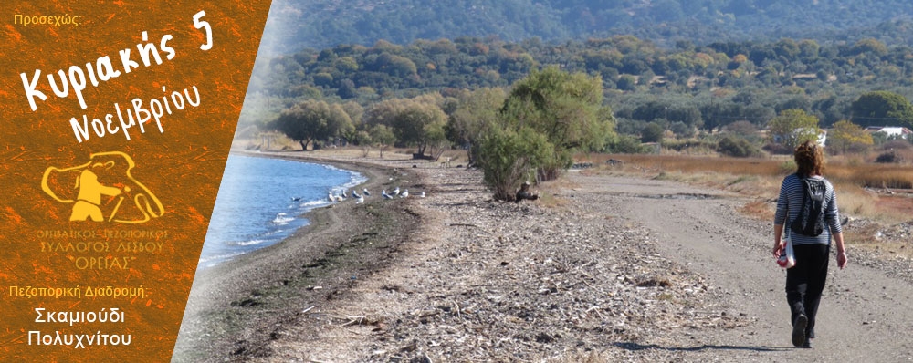 Ορειβατικός Πεζοπορικός Σύλλογος Λέσβου "ΟΡΕΙΑΣ"