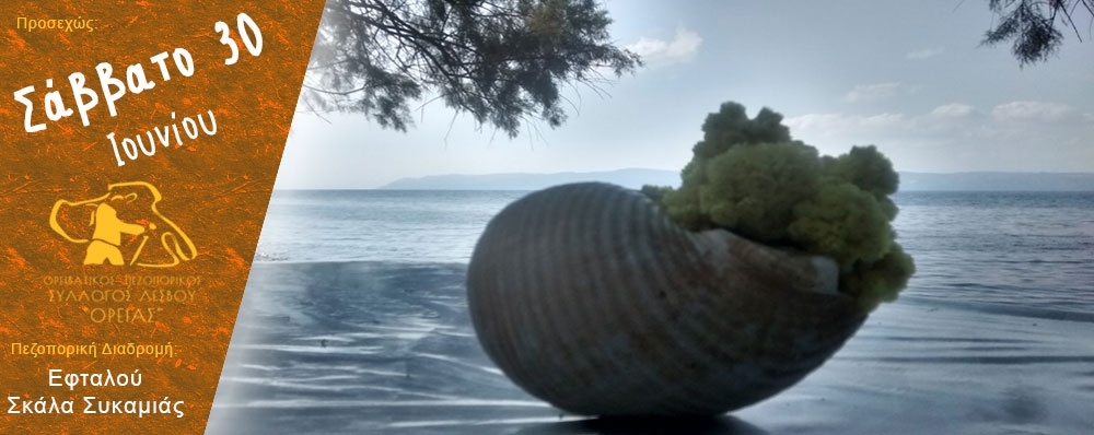 Ορειβατικός Πεζοπορικός Σύλλογος Λέσβου "ΟΡΕΙΑΣ"