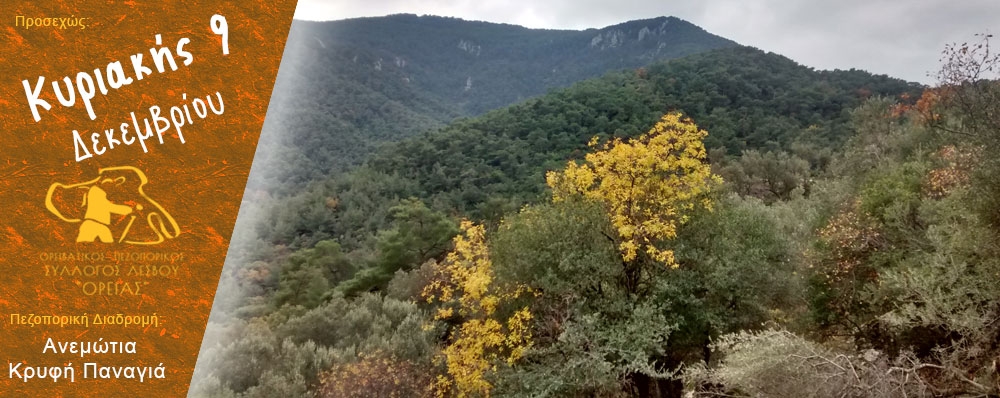Ορειβατικός Πεζοπορικός Σύλλογος Λέσβου "ΟΡΕΙΑΣ"