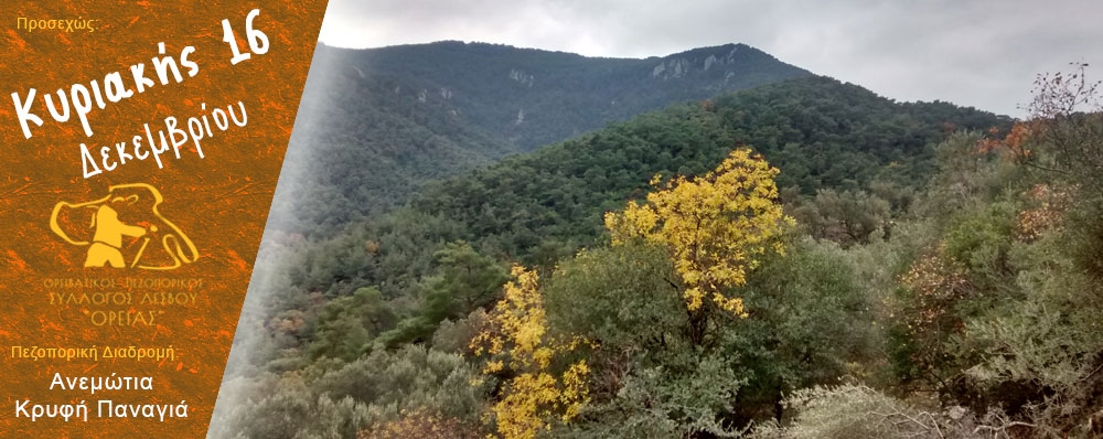 Ορειβατικός Πεζοπορικός Σύλλογος Λέσβου "ΟΡΕΙΑΣ"