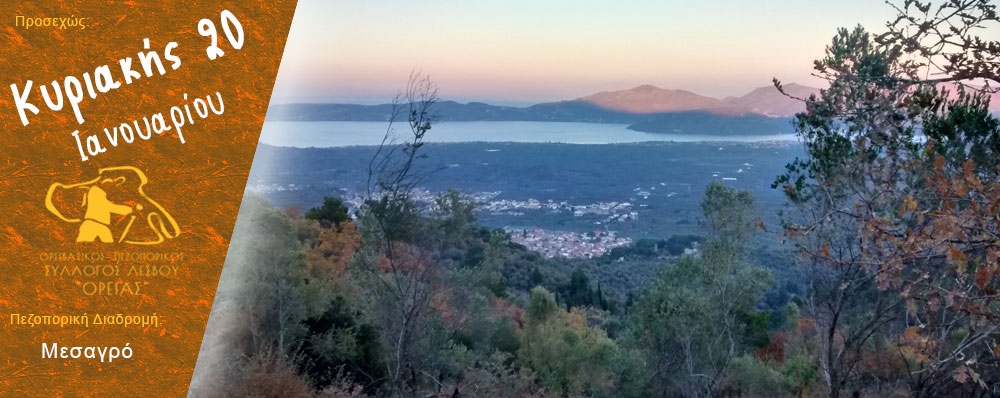 Ορειβατικός Πεζοπορικός Σύλλογος Λέσβου "ΟΡΕΙΑΣ"