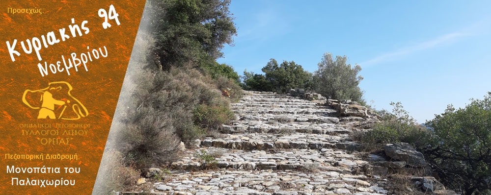 Ορειβατικός Πεζοπορικός Σύλλογος Λέσβου "ΟΡΕΙΑΣ"