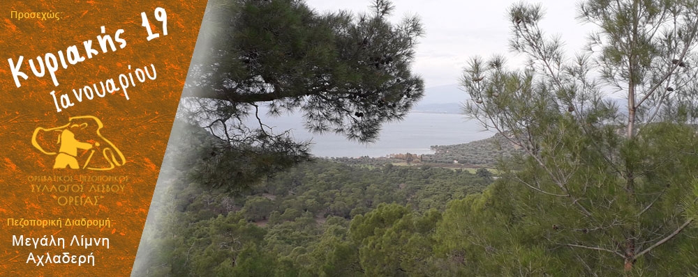 Ορειβατικός Πεζοπορικός Σύλλογος Λέσβου "ΟΡΕΙΑΣ"
