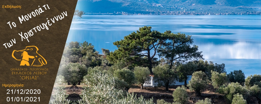Ορειβατικός Πεζοπορικός Σύλλογος Λέσβου "ΟΡΕΙΑΣ"