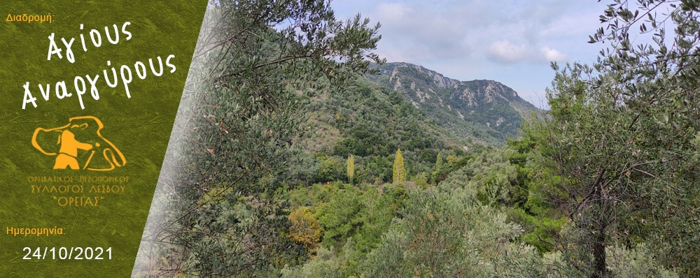 Ορειβατικός Πεζοπορικός Σύλλογος Λέσβου "ΟΡΕΙΑΣ"