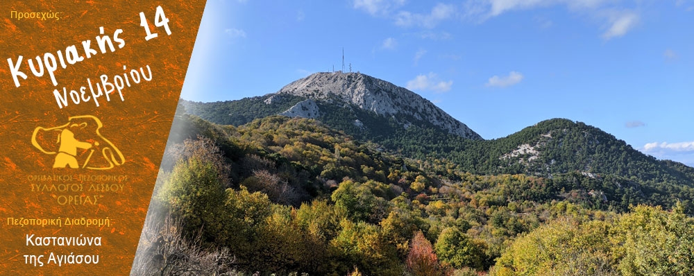 Ορειβατικός Πεζοπορικός Σύλλογος Λέσβου "ΟΡΕΙΑΣ"