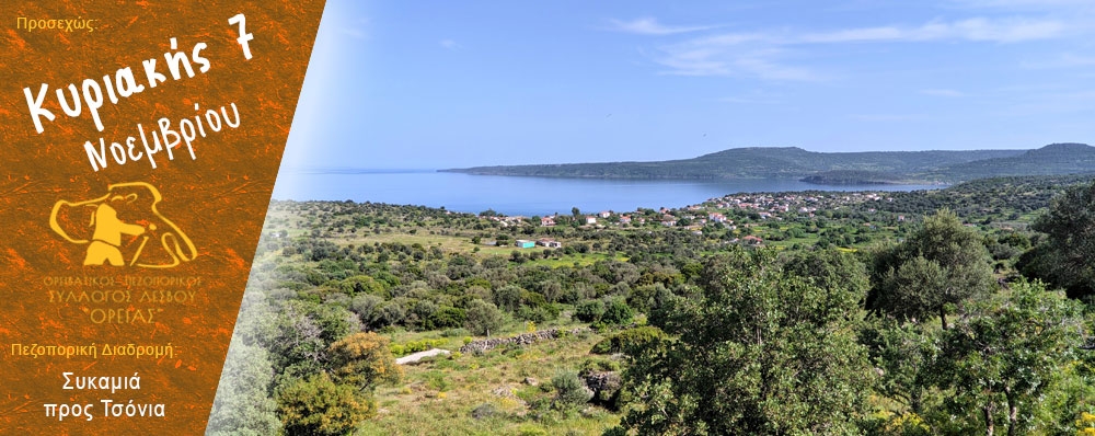Ορειβατικός Πεζοπορικός Σύλλογος Λέσβου "ΟΡΕΙΑΣ"