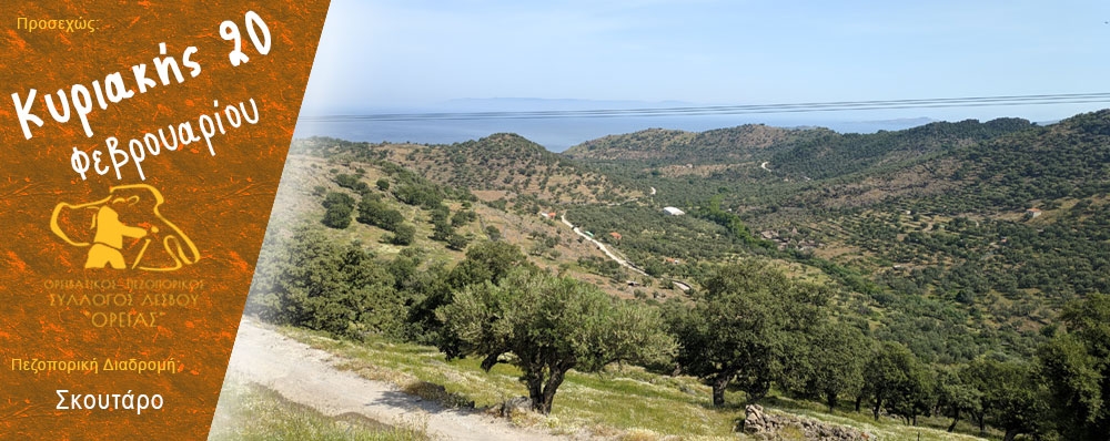 Ορειβατικός Πεζοπορικός Σύλλογος Λέσβου "ΟΡΕΙΑΣ"