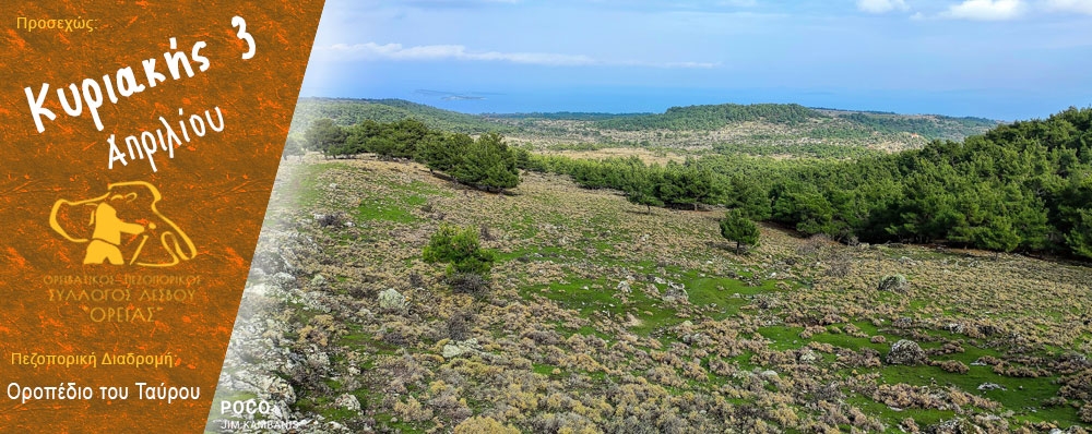 Ορειβατικός Πεζοπορικός Σύλλογος Λέσβου "ΟΡΕΙΑΣ"