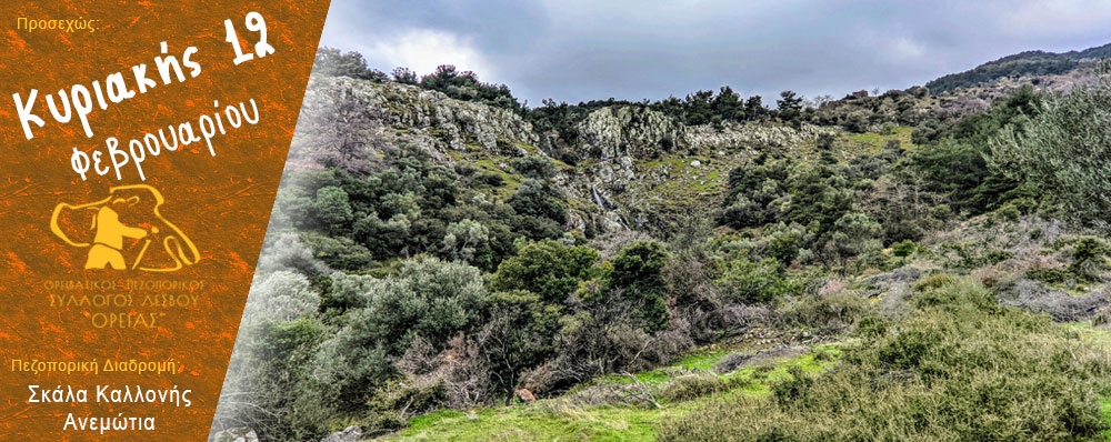 Ορειβατικός Πεζοπορικός Σύλλογος Λέσβου "ΟΡΕΙΑΣ"