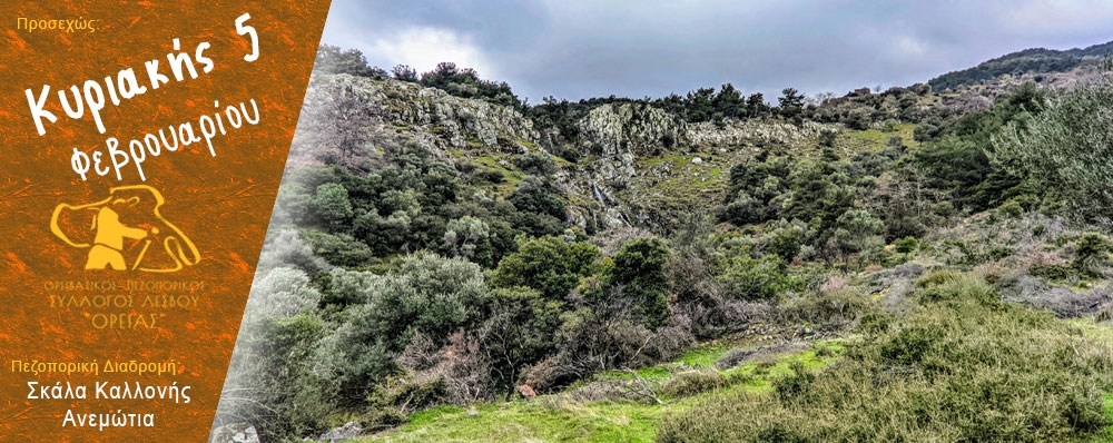 Ορειβατικός Πεζοπορικός Σύλλογος Λέσβου "ΟΡΕΙΑΣ"